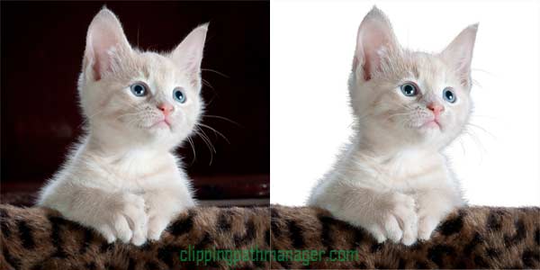 www.clippingpathmanager.com